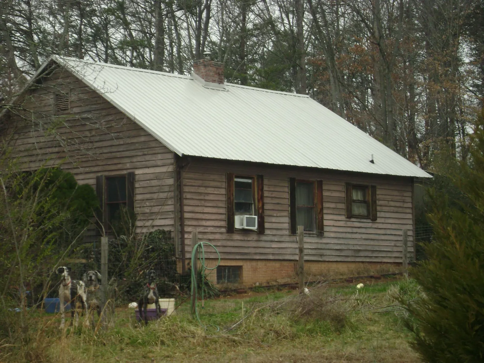 White metal roof on an old wood sided farmhouse, from a Asphalt Shingle Roof Repair job in Walled Lake